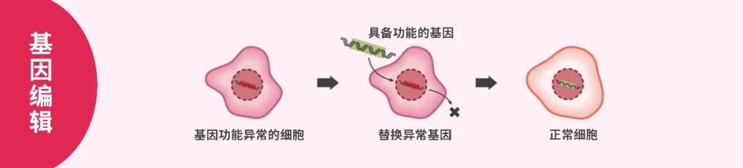 1-3基因编辑webp.jpg