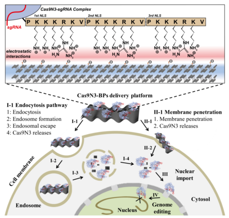 QQ 截图 20180710074314