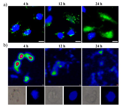 QQ 截图 20180710074335
