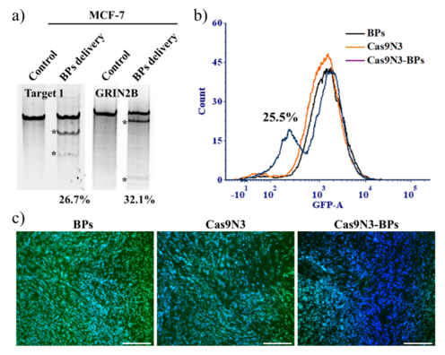 QQ 截图 20180710074353