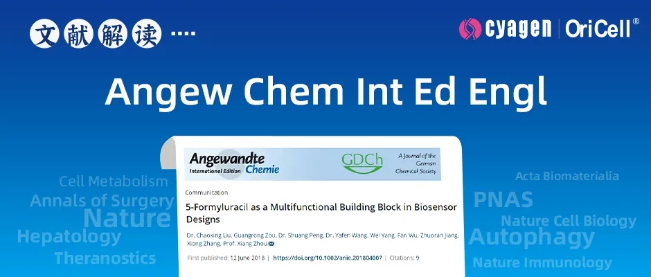 封面webp11.jpg 封面webp11.jpg