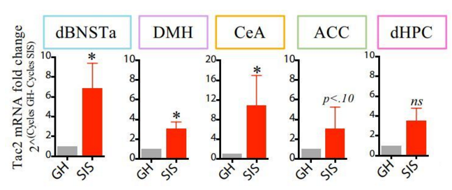 QQ 截图 20180528071633