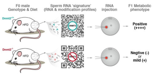 QQ 截图 20180428073803