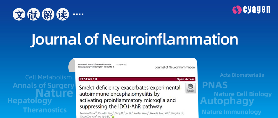 封面-Journal-of-Neuroinflammation.jpg