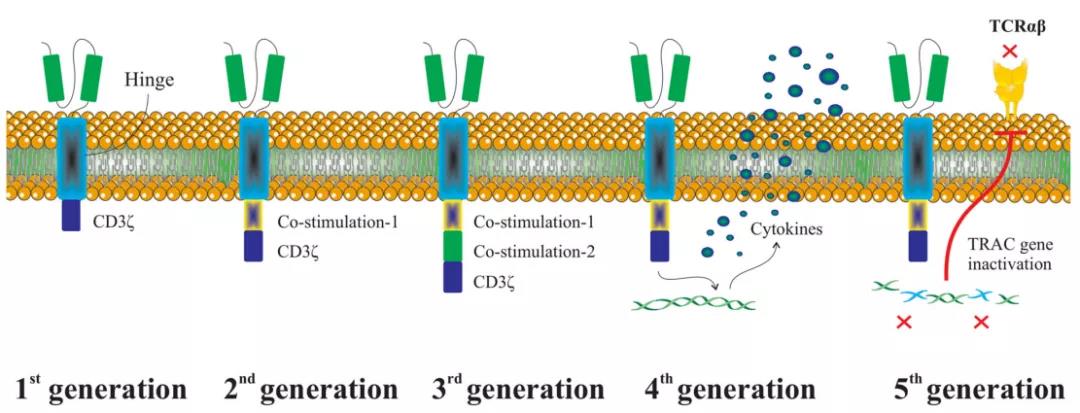CRISPR/Cas9基因编辑技术