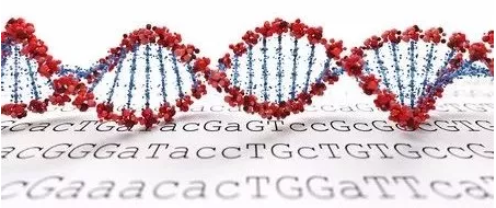 QQ 截图 20180228084444