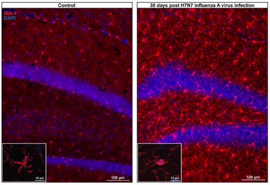 QQ 截图 20180228150310
