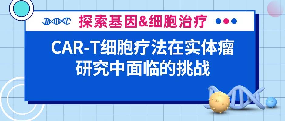 CAR-T细胞疗法