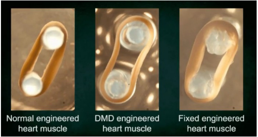 QQ 截图 20180201101147