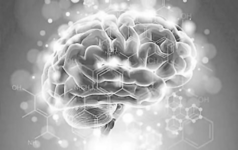 QQ 截图 20180201084725