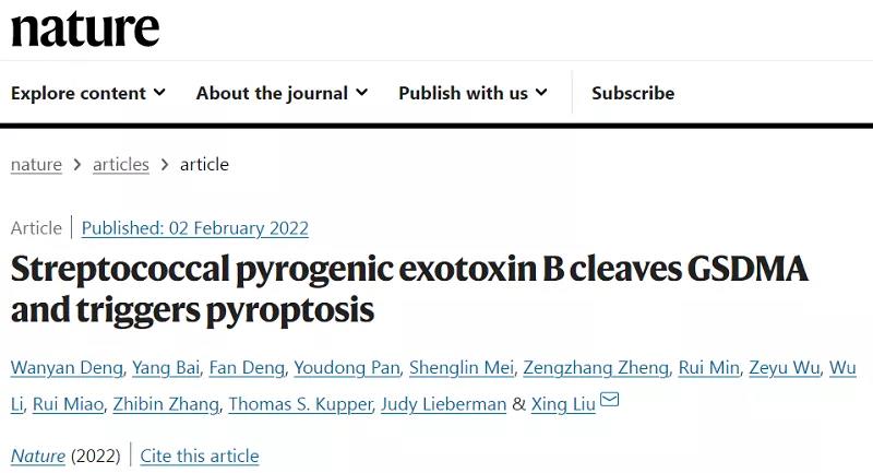 化脓链球菌感染免疫应答机制