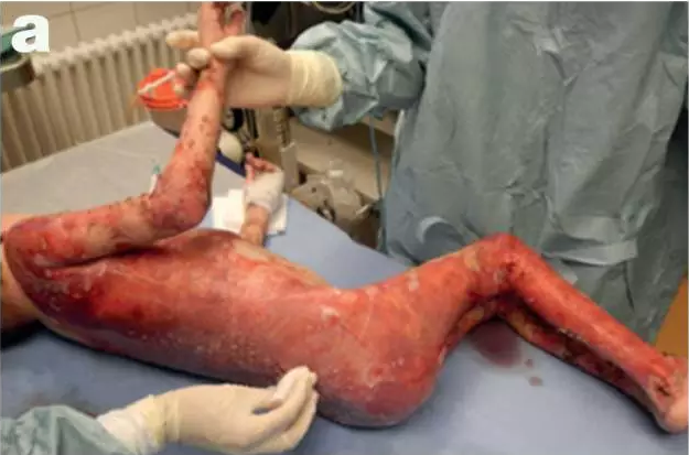 QQ 截图 20171228091137