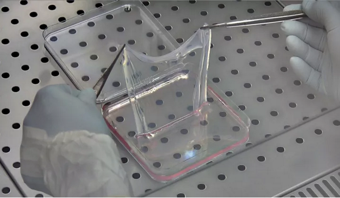 QQ 截图 20171228091200