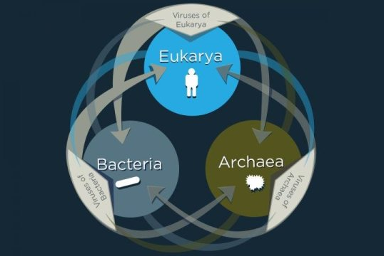 QQ 截图 20171212101635