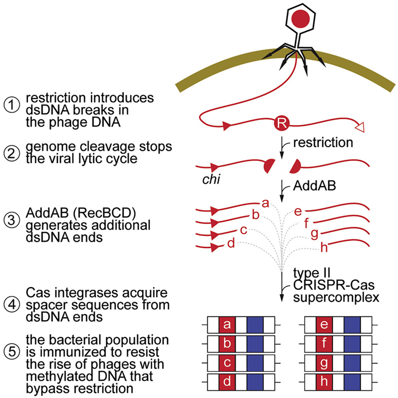 1651015996980_2185383.png 1651015996980_2185383.png