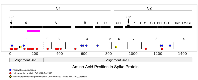 1651711858870_2185383.png 1651711858870_2185383.png