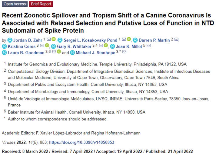 1651646497658_2185383.png 1651646497658_2185383.png