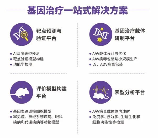 CRISPR/Cas9介导的基因编辑系统