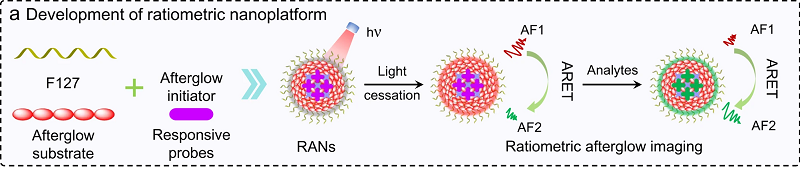 新型比率余辉发光纳米平台 新型比率余辉发光纳米平台