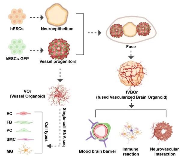ab5559c2442a4e5aa01fe5b1fd6e9463.jpg ab5559c2442a4e5aa01fe5b1fd6e9463.jpg