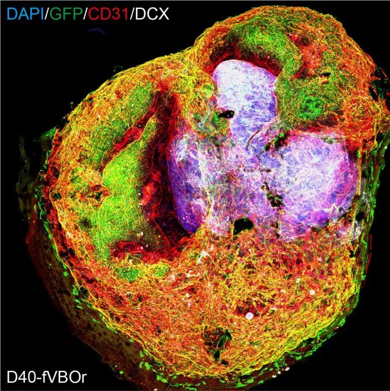 ce1e036edc8441599302aa4b3e13a42a.jpg ce1e036edc8441599302aa4b3e13a42a.jpg