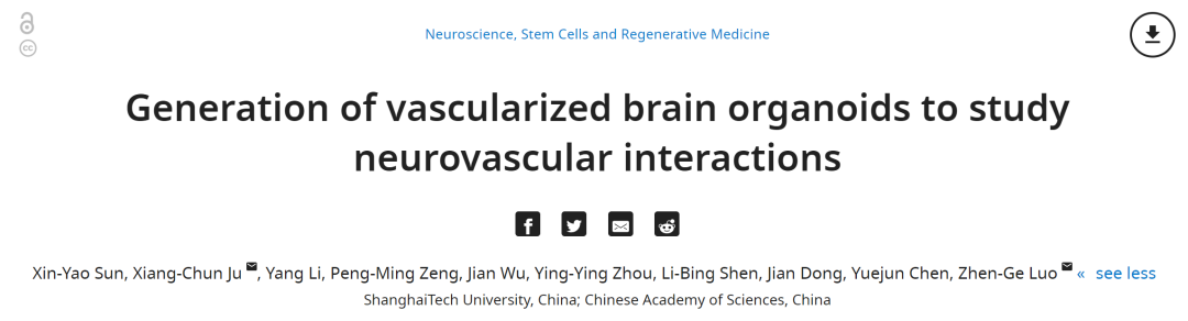 1df9a82fca244b49a14764368e854206jpg.png 1df9a82fca244b49a14764368e854206jpg.png