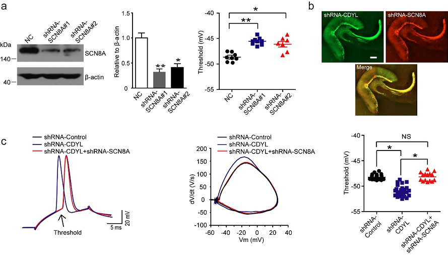 实验示意图“ width=