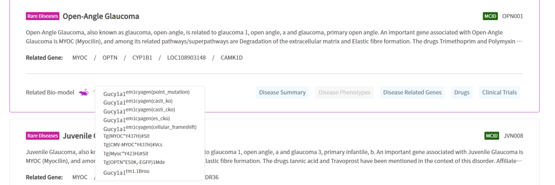 青光眼——造成不可逆伤害的隐形视力“杀手”