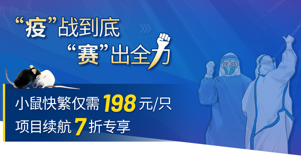 小鼠快速繁育服务 小鼠快速繁育服务