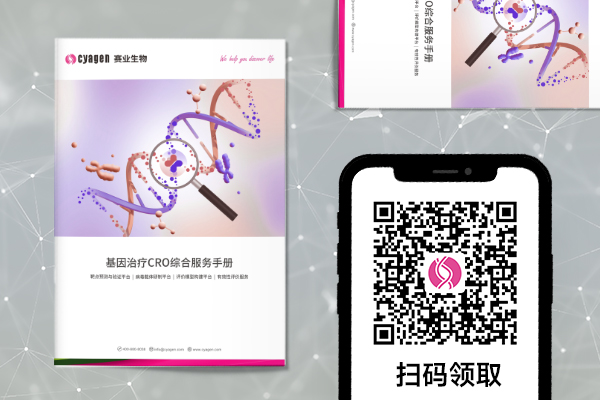 基因与细胞治疗研究该如何开展