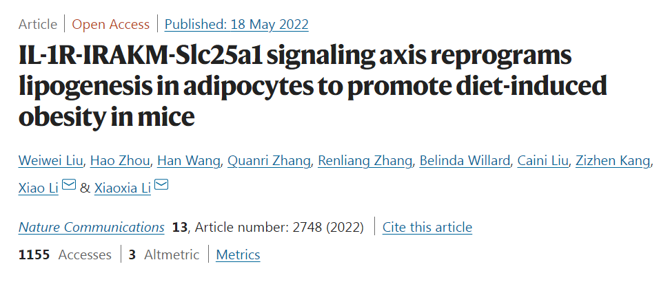 高脂饮食如何诱导肥胖