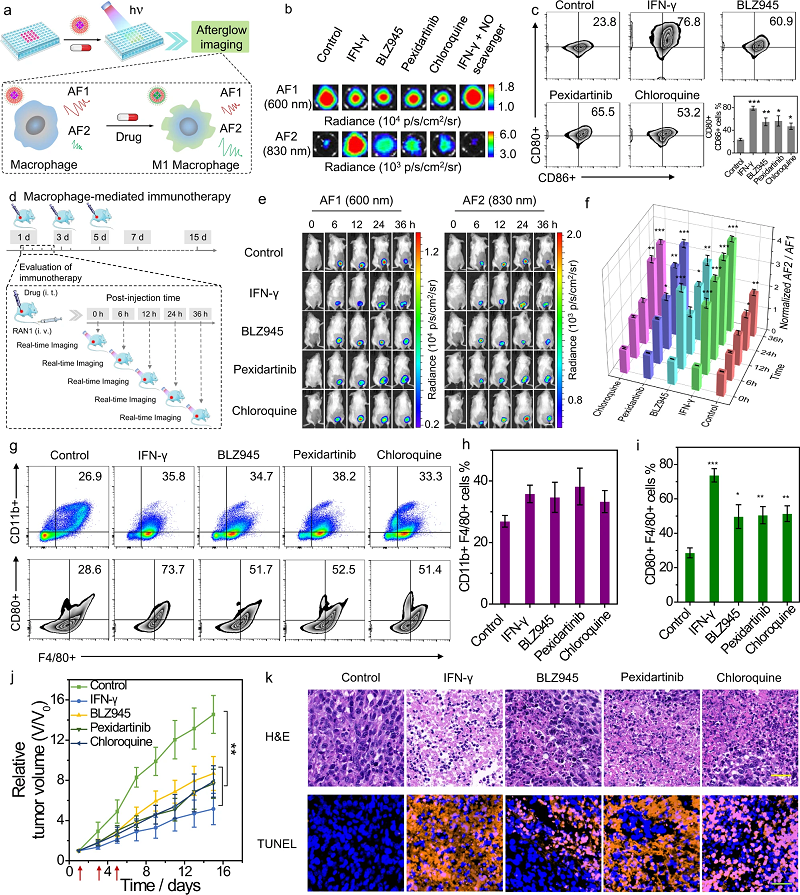 新型比率余辉发光纳米平台 新型比率余辉发光纳米平台