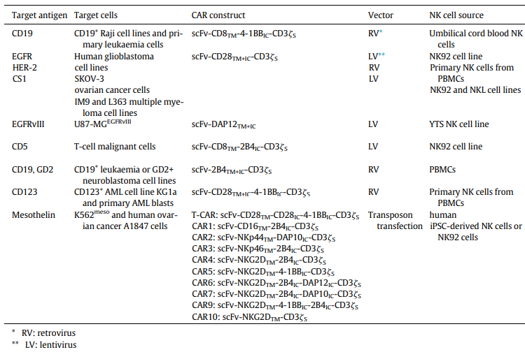 CAR-NK细胞得以异军突起