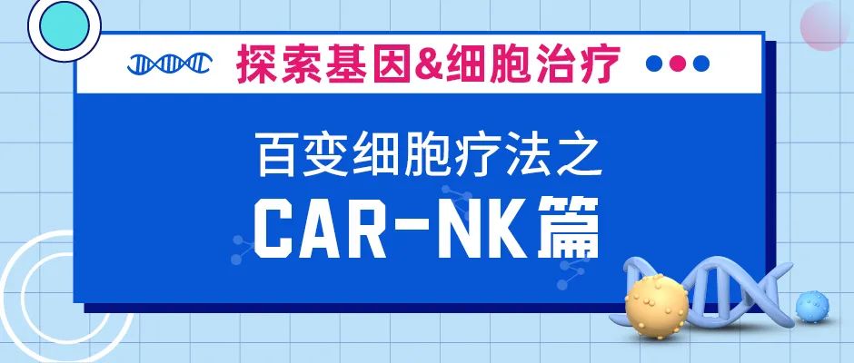 CAR-NK细胞得以异军突起