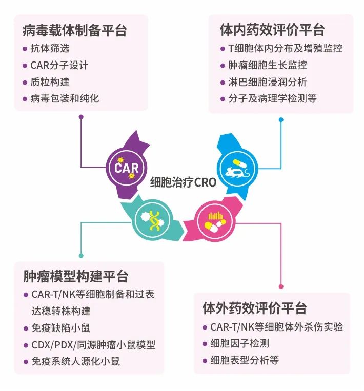 CAR-NK细胞得以异军突起