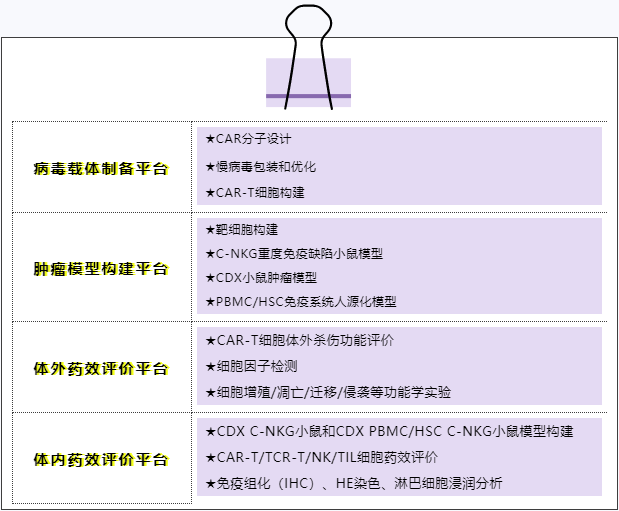 CAR-T细胞治疗基础研究加码 CAR-T细胞治疗基础研究加码