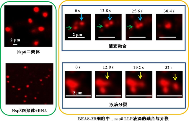 W020220923584138919042.png W020220923584138919042.png