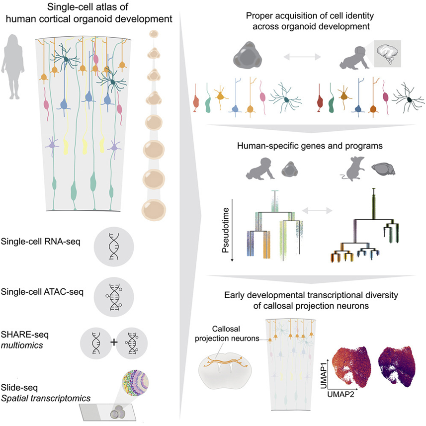 1665033675121_2185383.png 1665033675121_2185383.png