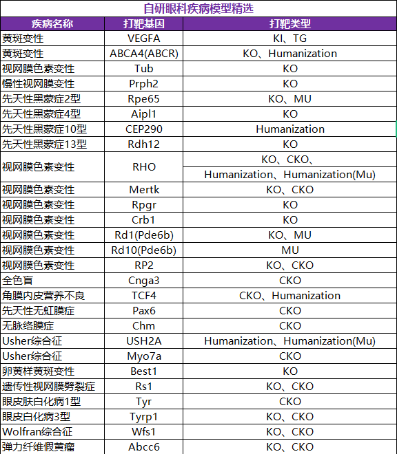 年龄相关性黄斑变性 年龄相关性黄斑变性