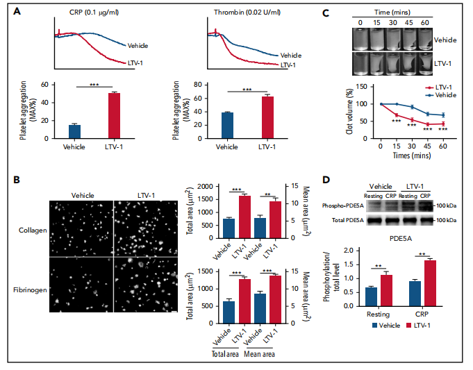血小板功能和动脉血栓调控的新机制 血小板功能和动脉血栓调控的新机制