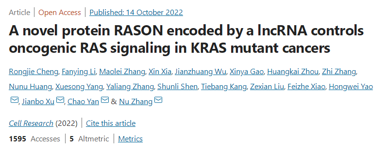 KRAS突变癌症的潜在治疗靶点