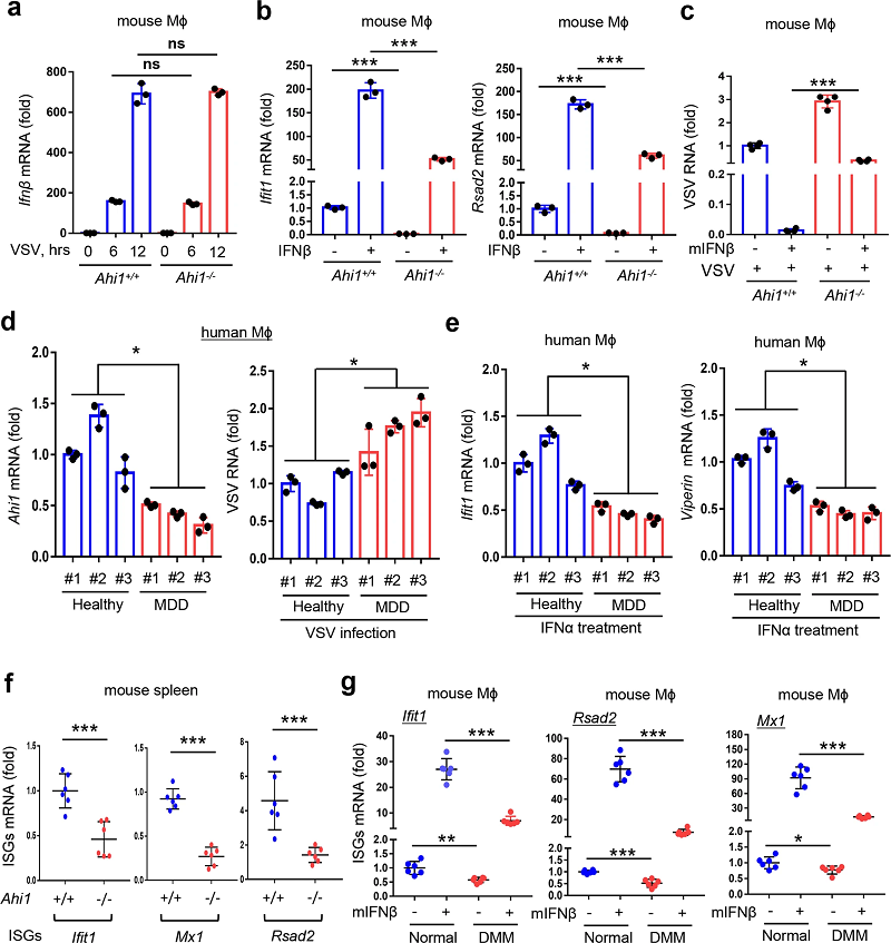 抑郁症如何影响抗病毒免疫力