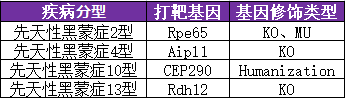 赛业生物先天性黑蒙小鼠模型推荐