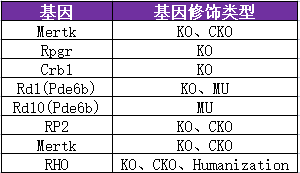 赛业生物先天性黑蒙小鼠模型推荐