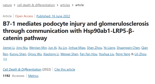 靶向B7-1的肾病疗法