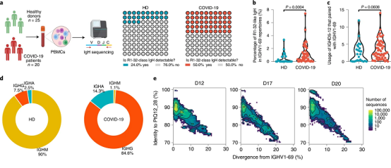 新冠变异株如何逃避免疫应答