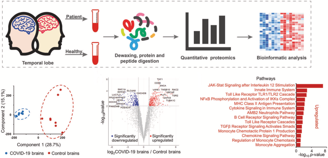 1ff6eb45b4c24de2841b138694499020jpg.png 1ff6eb45b4c24de2841b138694499020jpg.png