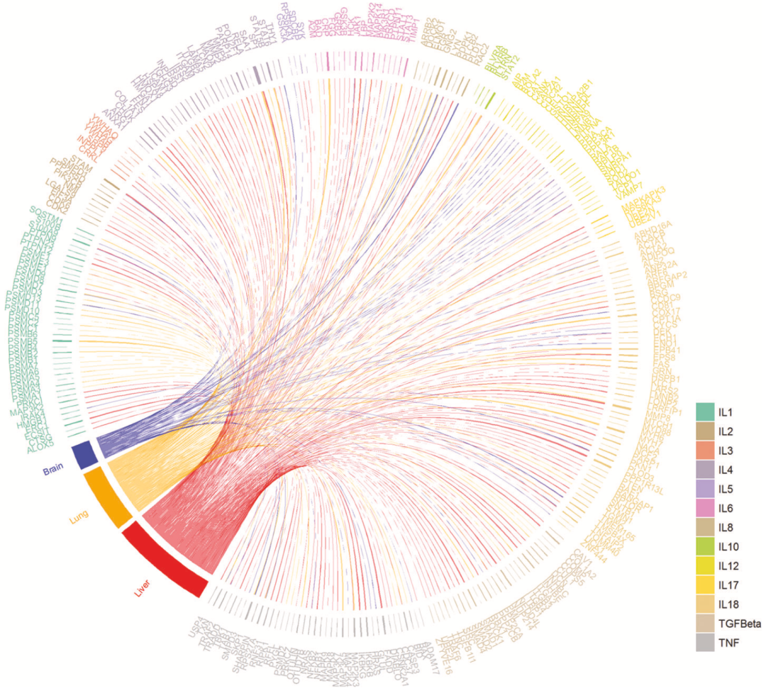 10c0a928a39a456fb073919f059f80fajpg.png 10c0a928a39a456fb073919f059f80fajpg.png