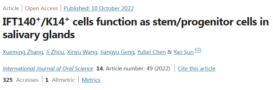 唾液腺干/祖细胞的标志物