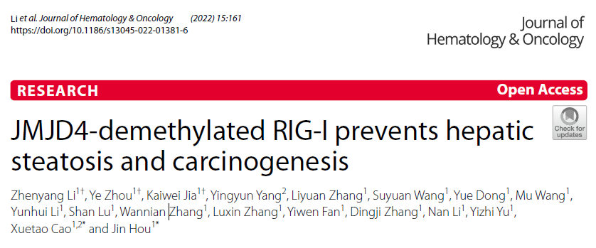 RIG-I在肝癌发生中的作用